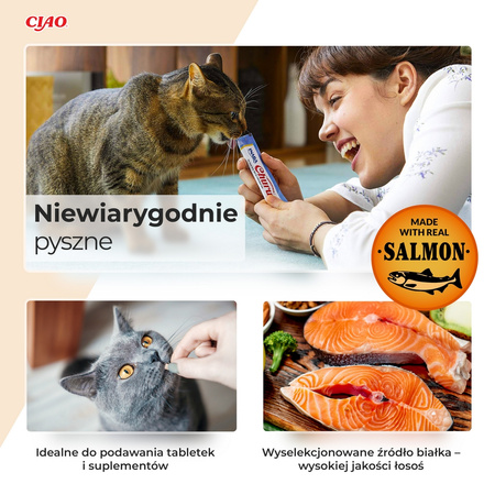 Inaba Cat Churu Salmon With Chicken 24x14g Kremowy Przysmak Dla Kota Pasta z Łososiem i Kurczakiem