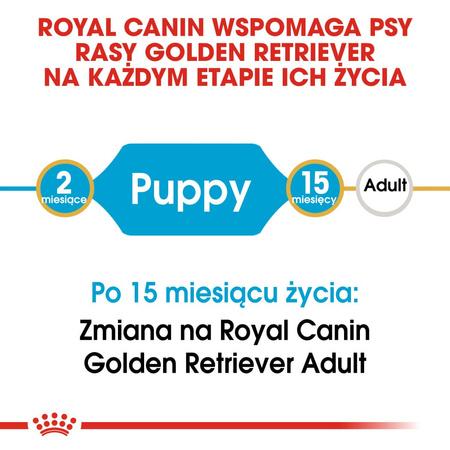 Royal Canin BHN Golden Retriever Puppy 3kg Karma Sucha Dla Szczeniąt Do 15 Miesiąca Rasy Golden Retriever