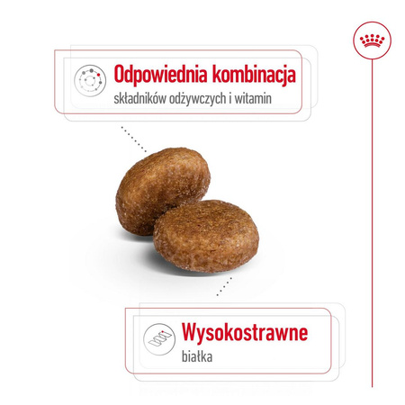 Royal Canin SHN Maxi Adult 5+ 15kg Karma Sucha Dla Psów Dojrzałych Od 5 Do 8 Roku Życia Ras Dużych
