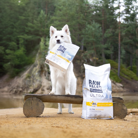 Raw Paleo Ultra Turkey Medium & Large Adult 2kg Monoproteinowa Sucha Karma Z Indykiem Dla Psa