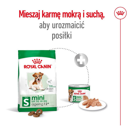 Royal Canin SHN Mini Adult 12+ 800g Karma Sucha Dla Psów Dojrzałych Po 12 Roku Życia Ras Małych