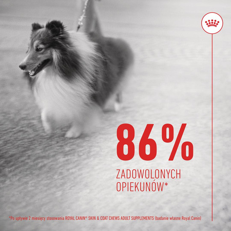 Royal Canin Supplements Dog Skin & Coat Adult 240g Przysmak Suplement dla Psa Na Skórę i Sierść