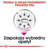Royal Canin CCN Exigent 85g Karma Mokra Pasztet Dla Wybrednych Psów Dorosłych