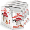 Royal Canin Instinctive FHN 48x85g Karma Mokra W Sosie Dla Kotów Dorosłych Wybrednych