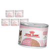 Royal Canin Mother&Babycat Instinctive Mousse 6x195g Karma Mokra Mus Dla Kotek W Okresie Ciąży Laktacji i Kociąt