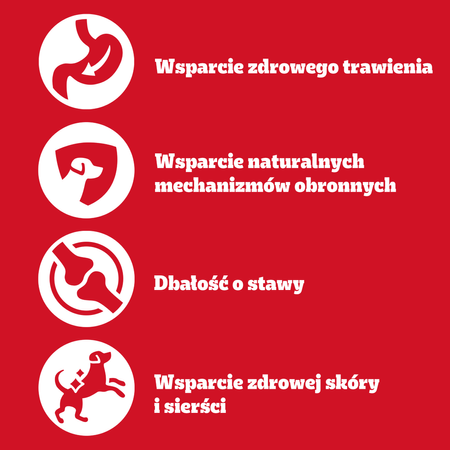 Pedigree Adult Vitality 52x85g Mokra Karma Dla Dorosłych Psów Mix Smaków W Sosie