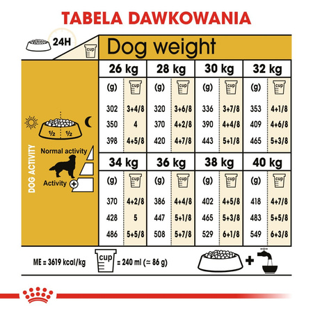 Royal Canin Breed Health Nutrition Adult Golden Retriever 2x12kg Sucha Karma Dla Psów