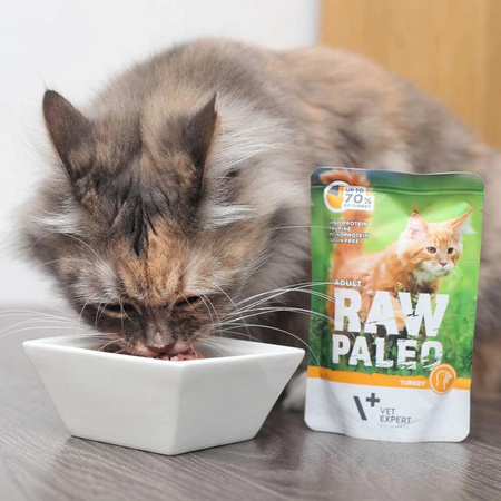 Vet Expert Raw Paleo Adult Turkey 100g Saszetka Karma Mokra z Indykiem Dla Kota