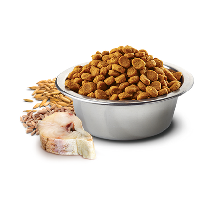 Farmina N&D Cat Ocean Cod Spelt Oats Orange 5kg Sucha Karma z Dorszem Dla Kota