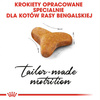 Royal Canin FBN Bengal Adult 10kg Karma Sucha Dla Kotów Dorosłych Rasy Bengalskiej Powyżej 12 Miesiąca Życia