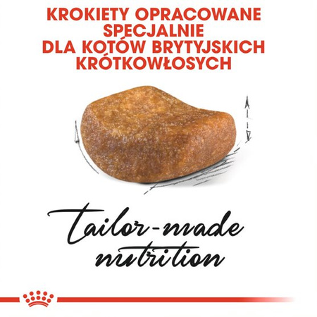 ROYAL CANIN British Shorthair 4kg karma sucha dla kotów dorosłych rasy brytyjski krótkowłosy