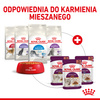 ROYAL CANIN Sensory Feel Gravy 85g Mokra Karma Dla Kotów Wybrednych