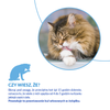 Inaba Cat Churu Hairball 4x14g (56g) Kremowy Przysmak Dla Kota Pasta Z Kurczakiem Przeciw Kulom Włosowym