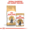 Royal Canin FBN British Shorthair Adult 24x85g Karma Mokra W Sosie Dla Kotów Dorosłych Rasy Brytyjski Krótkowłosy