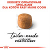ROYAL CANIN Maine Coon Adult 10kg karma sucha dla kotów dorosłych rasy maine coon