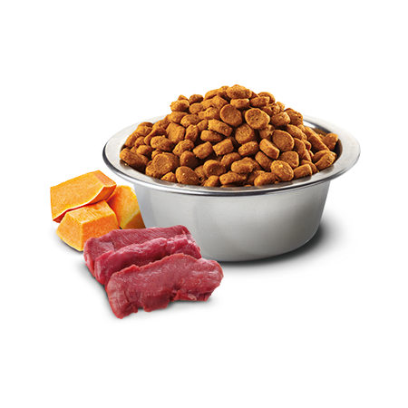 Farmina N&D Cat Pumpkin Venison & Apple 1,5kg Sucha Karma Dla Kota z Jeleniem Dynią i Jabłkiem