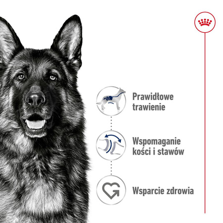 Royal Canin Adult Maxi BF 15kg Zbilansowana Sucha Karma Dla Psów Dużych Ras Do 5 Roku Życia