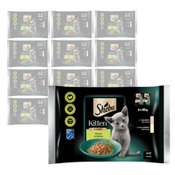Sheba Kitten 52x85g Mokra Karma Pełnoporcjowa Dla Kociąt w Sosie Kawałki z Łososiem i Kurczakiem