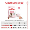 Royal Canin Mother&Babycat 4kg Karma Sucha Dla Kotek W Okresie Ciąży Laktacji i Kociąt Od 1 Do 4 Miesiąca Życia