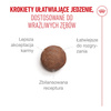 Royal Canin Ageing Sterilised 11+ Karma Sucha 4kg Dla Kotów Dojrzałych Po Sterylizacji Powyżej 11 Roku Życia