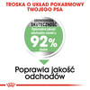 Royal Canin CCN Mini Digestive Care 8kg Karma Sucha Dla Psów Dorosłych Ras Małych O Wrażliwym Przewodzie Pokarmowym