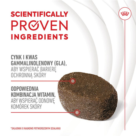 Royal Canin Supplements Dog Skin & Coat Adult 240g Przysmak Suplement dla Psa Na Skórę i Sierść