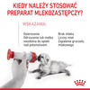 Royal Canin Babycat Milk 300g Preparat Mlekozastępczy Dla Kociąt Od Urodzenia Do Odsadzenia Od 0 Do 2 Miesiąca Życia