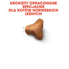 Royal Canin FBN Norvegian Forest Cat Adult 2kg Karma Sucha Dla Kotów Dorosłych Rasy Norweski Leśny
