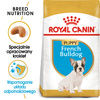 Royal Canin BHN French Bulldog Puppy 10kg Karma Sucha Dla Szczeniąt Do 12 Miesiąca Rasy Bulldog Francuski