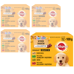 Pedigree Junior Saszetka 48x100g Mokra Karma W Galaretce Dla Psa Mix Czterech Smaków