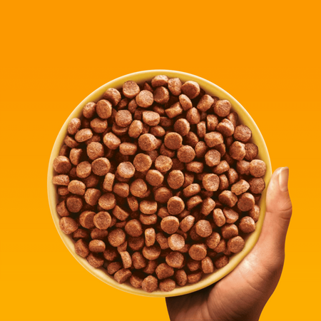 Pedigree Junior Professional Nutrition Z Drobiem I Warzywami 12kg + 12kg GRATIS Sucha Karma Dla Szczeniąt Średnich I Dużych Ras