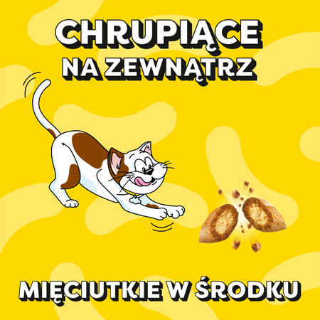 Dreamies z Pysznym Kurczakiem 6x60g (360g) Przysmaki dla kota