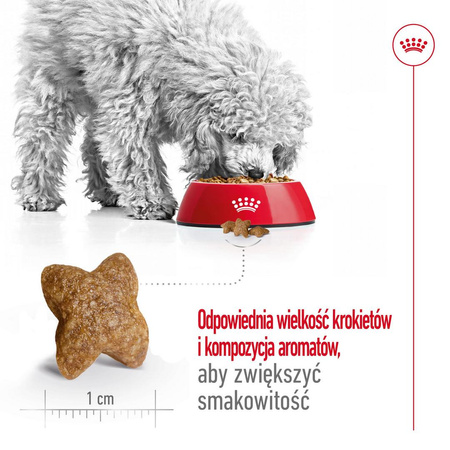 Royal Canin Mini Adult 8kg Karma Sucha Dla Psów Dorosłych Ras Małych