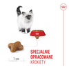 Royal Canin FHN Kitten 10kg Karma Sucha Dla Kociąt Od 4 Do 12 Miesiąca Życia