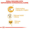 Royal Canin FBN British Shorthair 400g Karma Sucha Dla Kotów Dorosłych Rasy Brytyjski Krótkowłosy