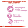 Royal Canin Kitten 48x85g Pełnoporcjowa Mokra Karma Dla Kociąt Do 12 Miesiąca Życia Pasztet