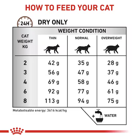 Royal Canin Veterinary Gastrointestinal Hairball 4x400g Sucha Karma Dla Kotów Ułatwiająca Usuwanie Kul Włosowych