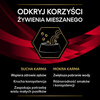 Purina Pro Plan Veterinary Diets Feline DM Diabetes Management Sucha Karma Dla Kota 5kg Redukcja Glukozy