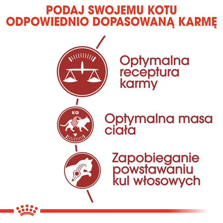 Royal Canin Regular Fit 32 Adult 400g Karma Sucha Dla Kotów Dorosłych Wspierająca Idealną Kondycję