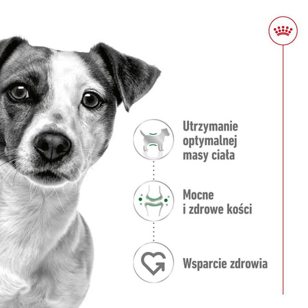 Royal Canin Adult Mini Sucha Karma Dla Psów Małych Ras 2kg