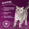 Whiskas Adult Aromatyczna Mieszanka Saszetki 160x85g Mokra Karma Pełnoporcjowa Dla Kota w Sosie
