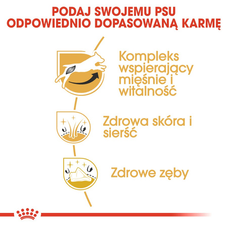 Royal Canin BHN Jack Russell Terrier Adult 7,5kg Karma Sucha Dla Psów Dorosłych Rasy Jack Russell Terrier