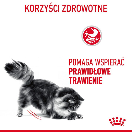 Royal Canin Digest Sensitive 12x85g Mokra Karma Dla Kotów Dorosłych W Sosie Na Wrażliwy Przewód Pokarmowy