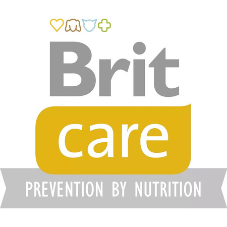 Brit Care Grain-Free Junior Large Breed Salmon 3kg Bezzbożowa Karma Łosoś I Ziemniaki Dla Młodych Psów Dużych Ras