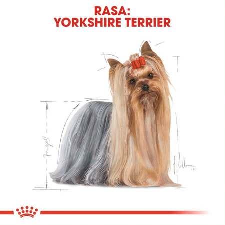 Royal Canin BHN Adult Yorkshire Terrier 24x85g Mokra Karma Pasztet Dla Psów Rasy York