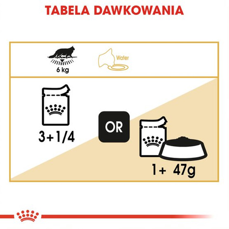 Royal Canin FBN Maine Coon Adult 24x85g Karma Mokra W Sosie Dla Kotów Dorosłych Rasy Maine Coon