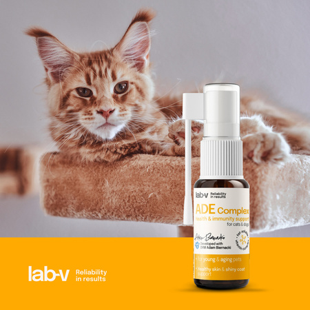 LAB-V ADE Complex Witaminy Dla Psów i Kotów 2x10ml Zdrowa Skóra Wzrok i Odporność