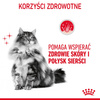 Royal Canin Hair & Skin 24x85g Mokra Karma Dla Kotów Dorosłych w Galaretce Zdrowa Skóra Piękna Sierść
