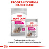 Royal Canin CCN Exigent 85g Karma Mokra Pasztet Dla Wybrednych Psów Dorosłych