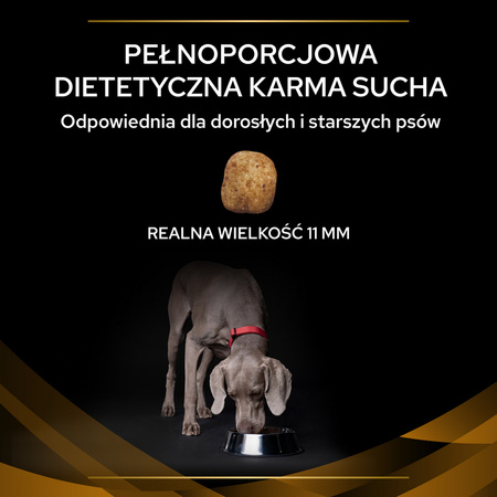 Purina Pro Plan Veterinary Diets NF Renal Function Sucha Karma Dla Psa 12kg Niewydolność Nerek